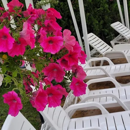 Vip-zone