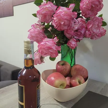 Vip-zone * Napospart