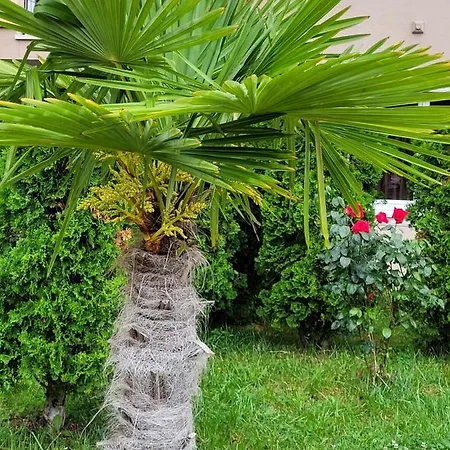 Apartment Vip-zone Sunny Beach